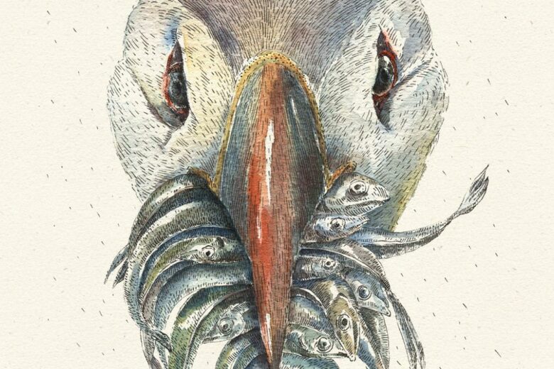 animal drawings inspiration - THE ATLANTIC PUFFIN (with a mouthful of anchovies) by Laimutė Varkalaitė