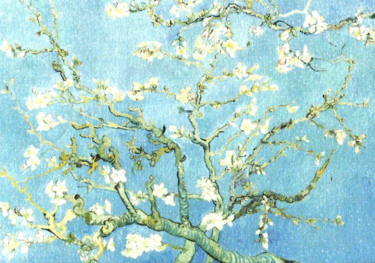 Almond Blossom, Vincent van Gogh, February 1890 oil on canvas, 73.3 cm x 92.4 cm
