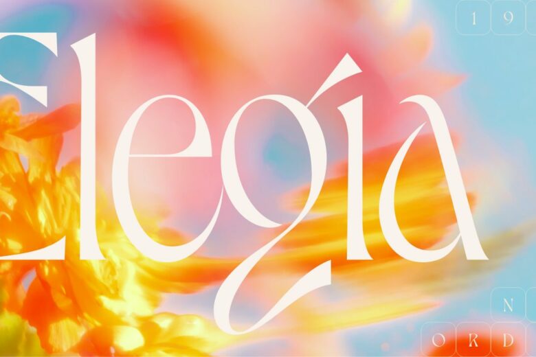 modern fonts - Dahlia Typeface by VJ type. Seen here, with the word Elegia applied as text overlay over a blurred image of flower petals in warm orange and red over a clear blue sky.