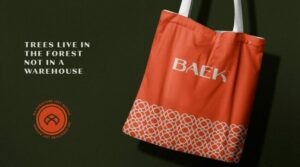 brand identity inspiration june 2023 - Baek sustainable furniture – Brand identity by Ambedo Agency and Ionut Visoi