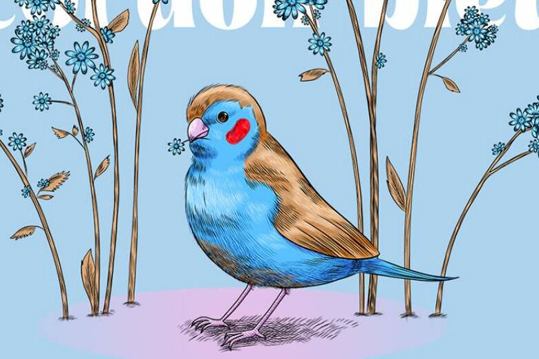nature-inspired illustration inspiration - Exotic birds. Vector illustrations of our nature by Daniela Latysheva