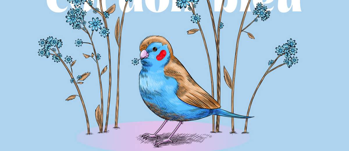 nature-inspired illustration inspiration - Exotic birds. Vector illustrations of our nature by Daniela Latysheva